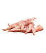 Big Country Raw Chicken feet