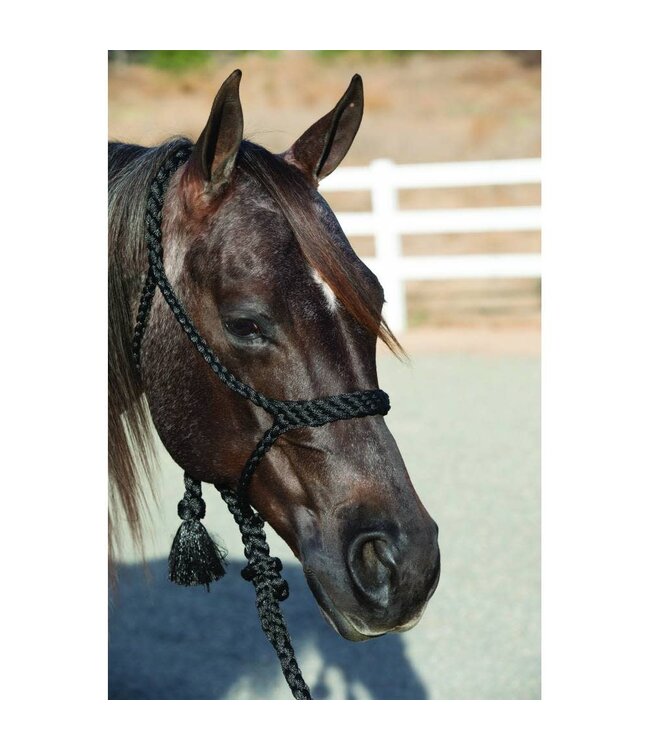 Professional's Choice Cowboy Braided Rope Halter
