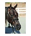 Professional's Choice Cowboy Braided Rope Halter