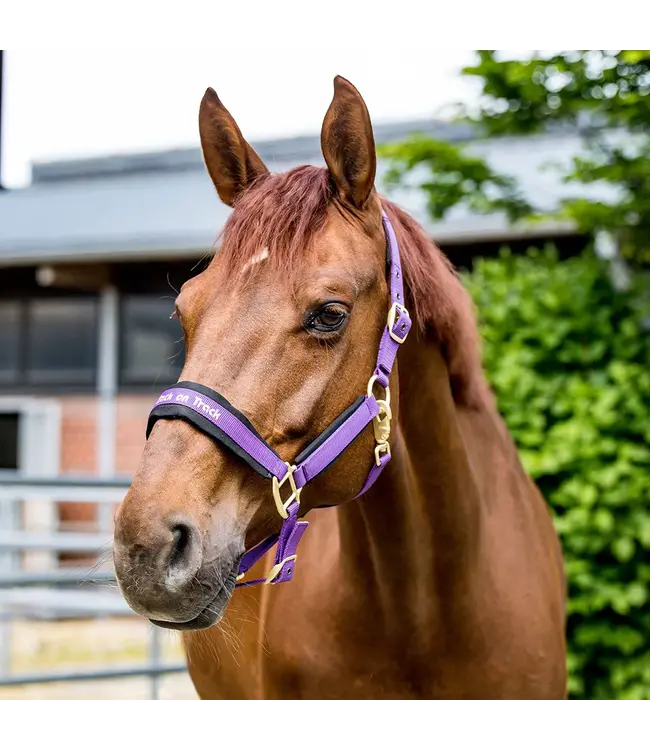 Back On Track PP Werano halter