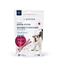 Animora Cranberry Dental Sticks for Dogs