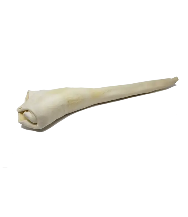 Open Range Whole Cow's Tail