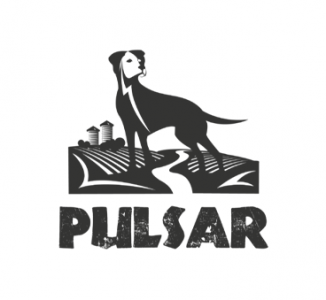 Pulsar