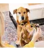 Greenies Tub Pack Dental Treat for Dogs