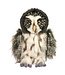 Douglas Birds of Prey plush toys