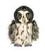 Douglas Cuddle Toys Peluche de Chouette Lapone Darius