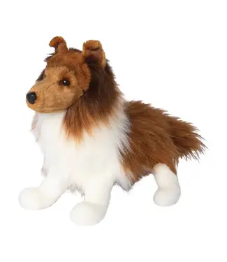 Douglas Shetland Sheepdog plus