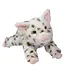 Douglas Cuddle Toys Spotted Pig Plush