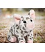 Douglas Cuddle Toys Spotted Pig Plush