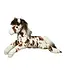 Douglas Cuddle Toys Appaloosa Horse Plush