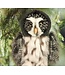 Douglas Cuddle Toys Darius the Great Gray Owl