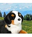 Douglas Bernese Mountain Dog plush