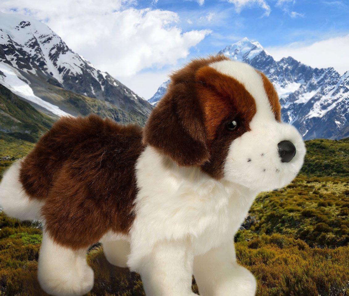 DOUGLAS Peluches de SaintBernard Paddock Animal