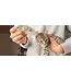 Skout's Honor Probiotic Cat Ear Cleaner