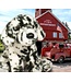 Douglas Cuddle Toys Dalmatian Plush