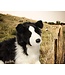 Douglas Border Collie plush toys