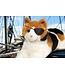 Douglas Cuddle Toys Peluches de Chats