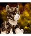 Douglas Cuddle Toys Peluches de Chats