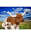 Douglas Cuddle Toys Longhorn Cattle Plush