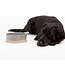 Scruffs Non-tilting Scandi Bowl for Pets