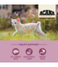 Acana High Protein Recipe for Kittens