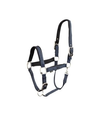 BR Equestrian Bo Halter