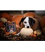 Oven-Baked Tradition All Natural Soft & Chewy Grain-Free Treats