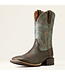 Ariat Botte Western Sport Latigo