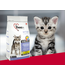 1st Choice  Healthy Start