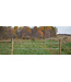 Patriot Fence handle with spring