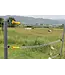 Patriot Fence handle with spring