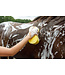 Wecan Sales Peanut sponge