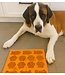 Big Country Raw Pumpkin Puree Side Dish