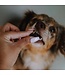 Hero Dog Treats Gâteries d'entraînement ''Mini Bones''