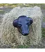 Ger-Ryan Calf Head