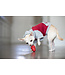 KONG Classic for Dogs