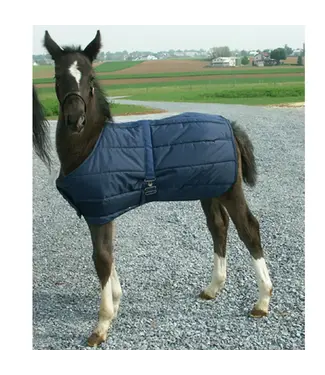 CAN-PRO - Couverture Snuggie pour Poulain - Paddock Animal