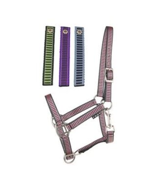 Cavalier Equestrian Nylon Halter for Foal