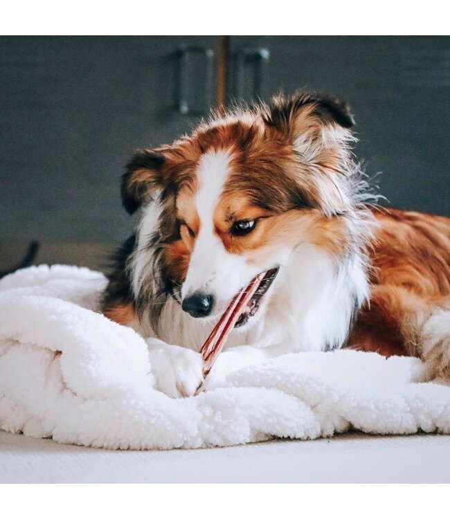 HERO DOG TREATS Bully Stick Paddock Animal