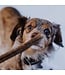 Hero Dog Treats Bully Stick