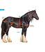 Shires Equestrian Ruban à mesurer pour Cheval