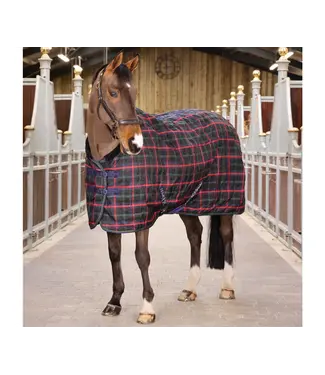 Shires Equestrian Tempest 100g Stable Blanket