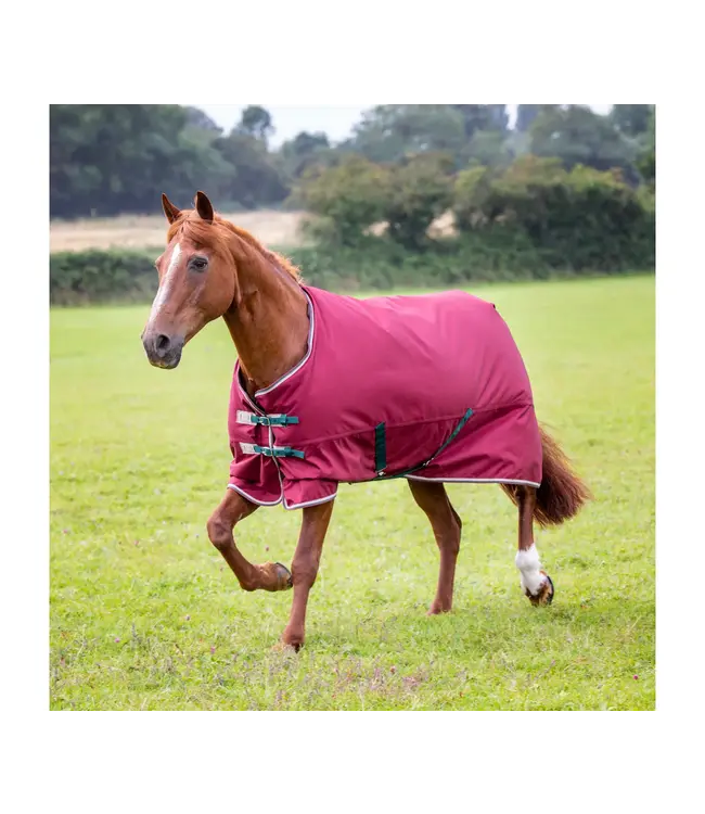 Shires Equestrian Tempest 200g pony blanket