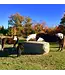 BALE BUDDY Hay Net for Square Bales