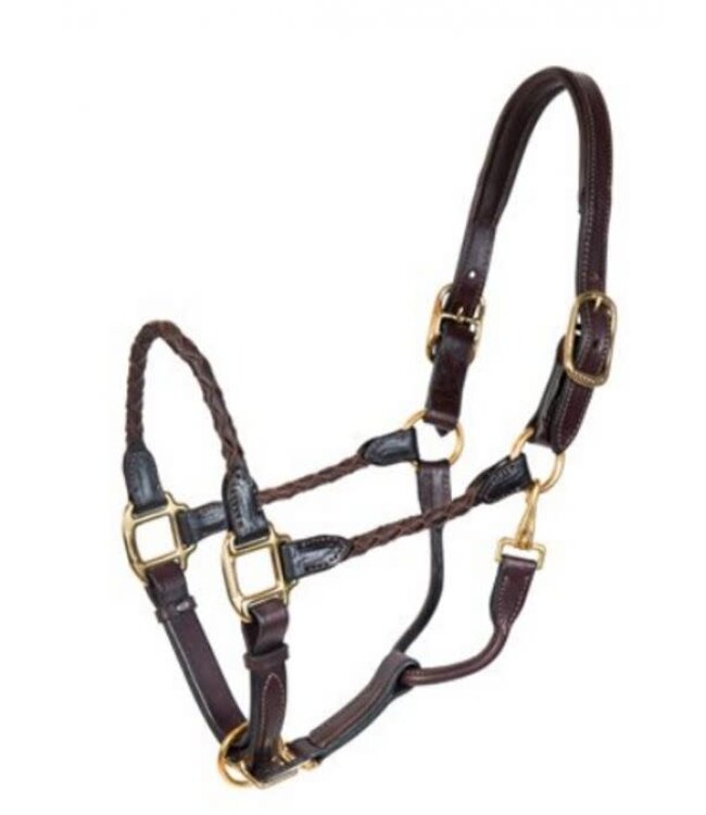 Ger-Ryan Bromont Braided Leather Halter