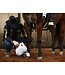 Professional's Choice Ballistic Overreach White Bell Boots
