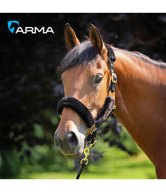 Shires Equestrian Fleece-lined Black Nylon Halter