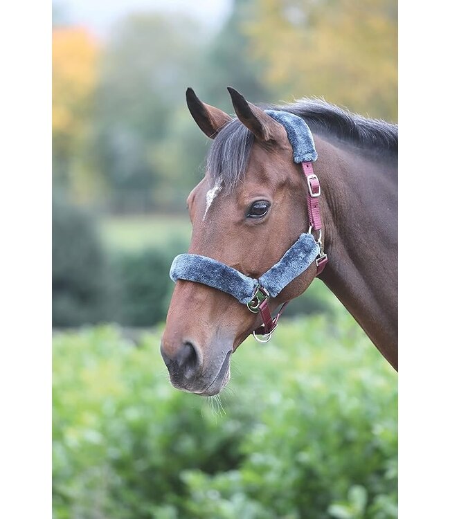 Shires Equestrian Burgundy Fleece Lined Horse Halter with Breakaway