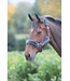 Shires Equestrian Licou en Nylon Bourgogne Doublure Polaire