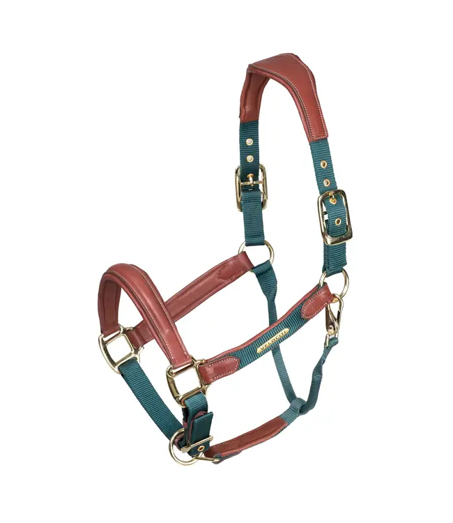 Velociti Lusso Padded Leather Hunter Green Headcollar